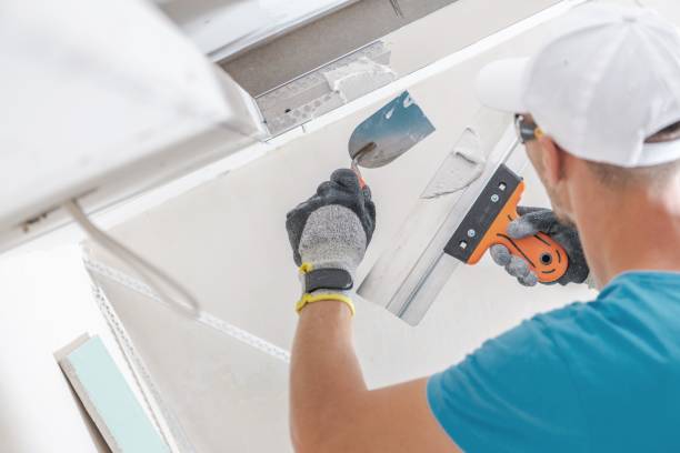 Best Attic Mold Removal  in Vidor, TX